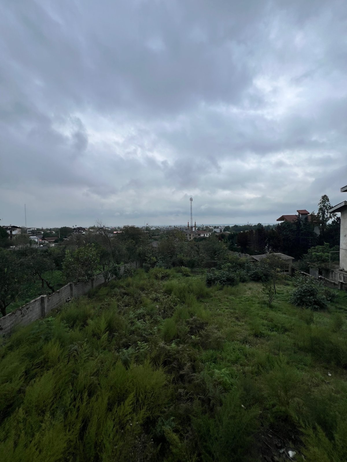 زمین در نجارده، نوشهر