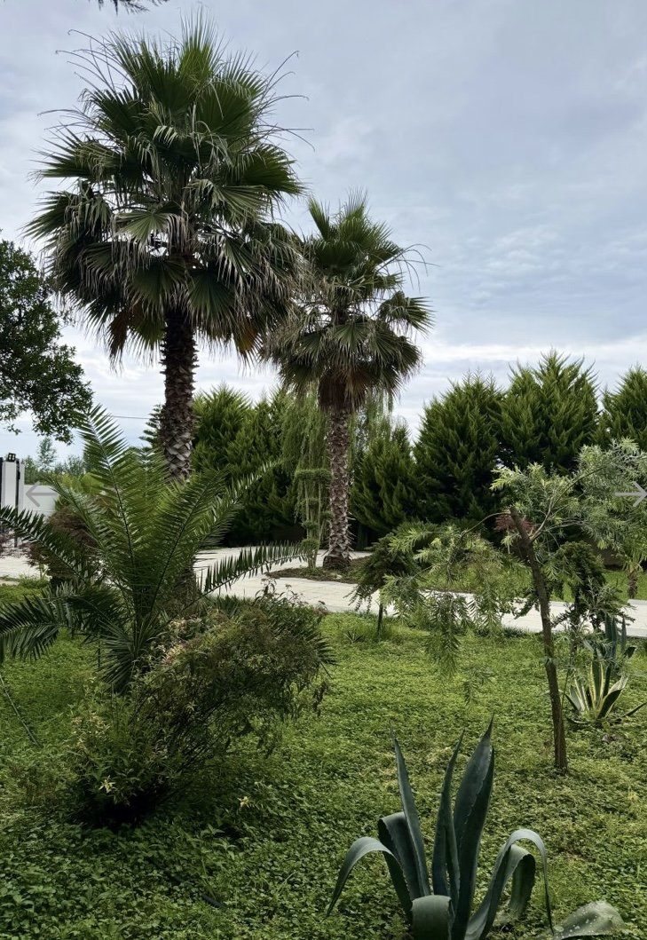 ویلا در خیرودکنار، نوشهر
