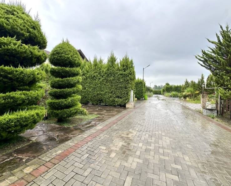 زمین در سیاهرود شهرک سارا