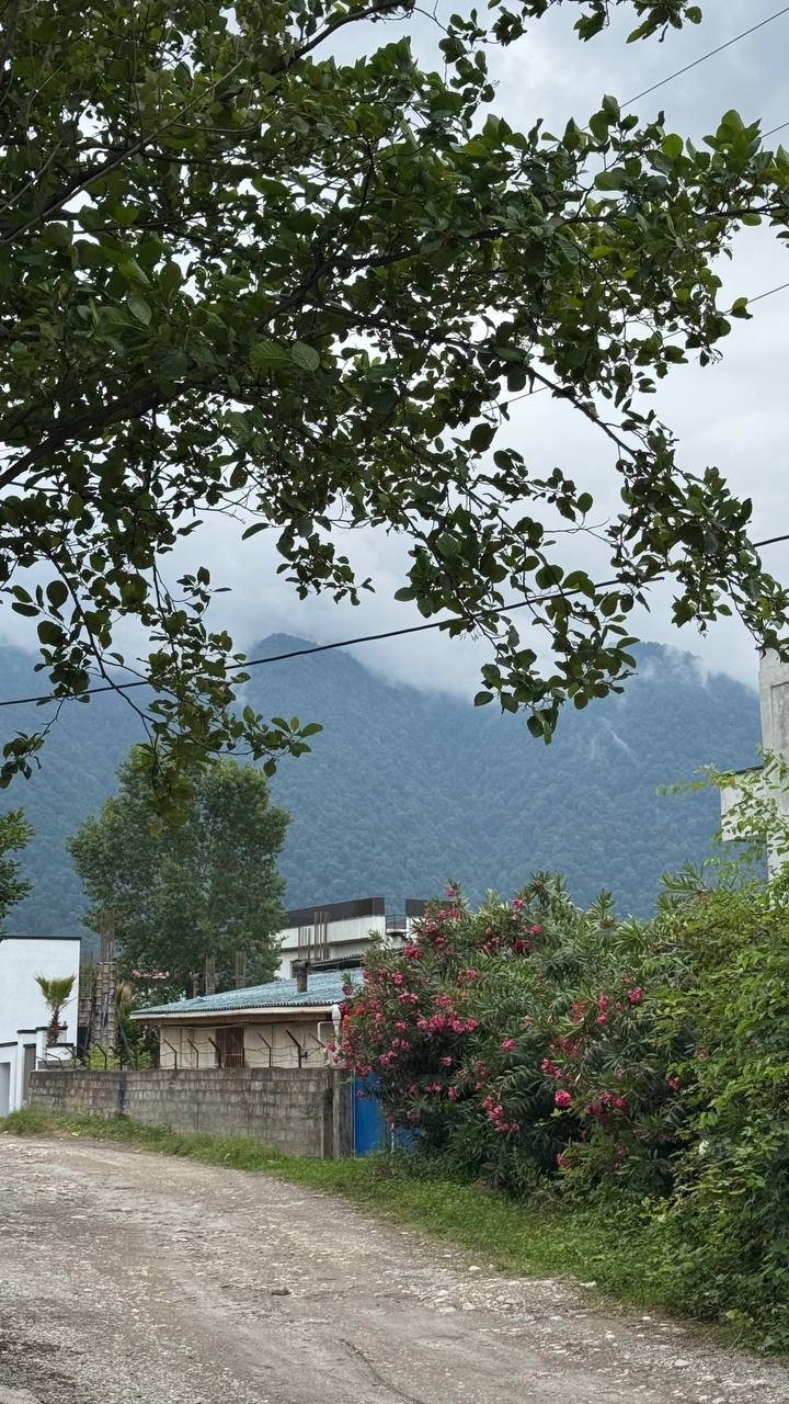 ویلا در شکارگاه