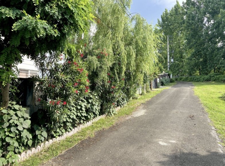 زمین در خیرودکنار، نوشهر